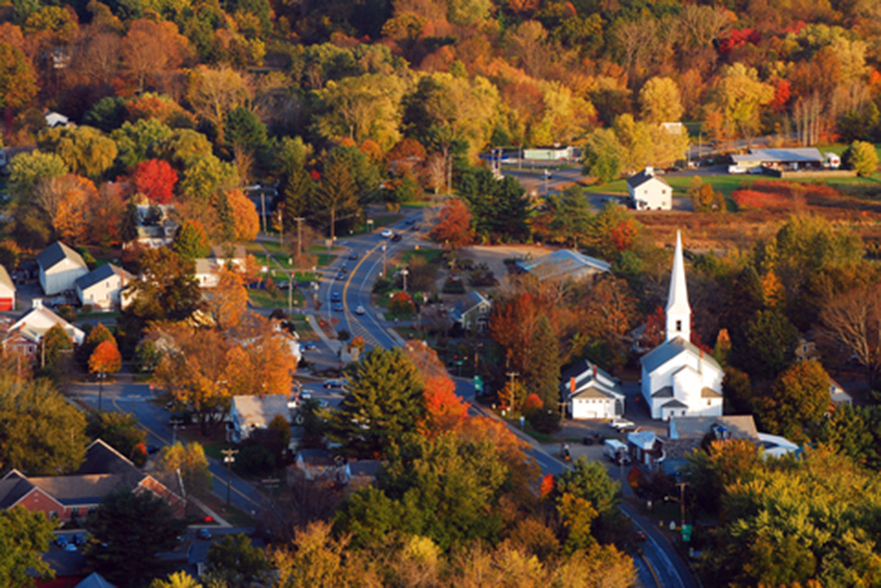 'Leaf peeper'